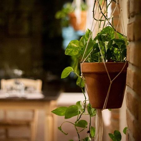 チェゼーナ Agricola Casa Cucina Bottegaヴィラ エクステリア 写真