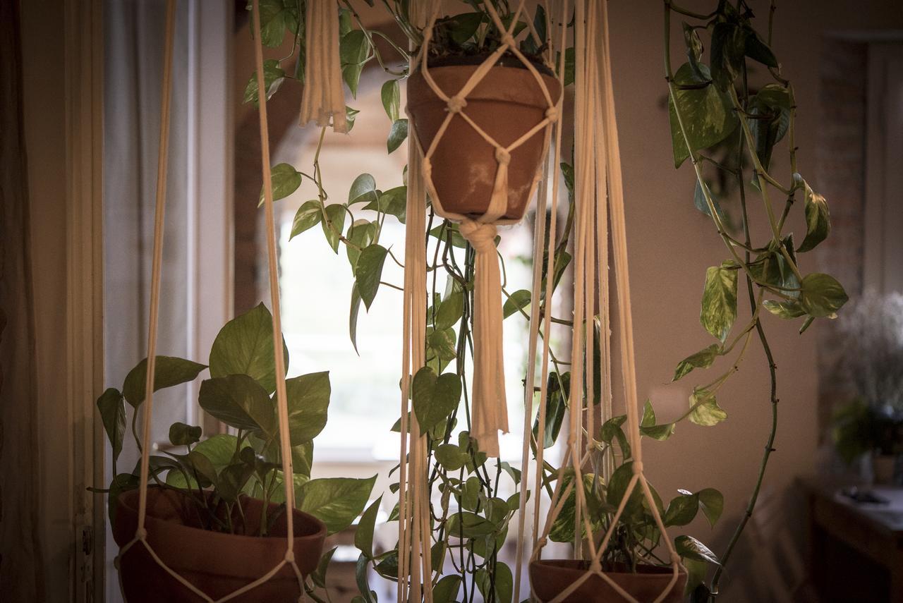 チェゼーナ Agricola Casa Cucina Bottegaヴィラ エクステリア 写真