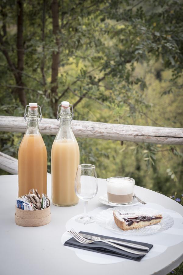 チェゼーナ Agricola Casa Cucina Bottegaヴィラ エクステリア 写真